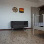 Rent 3 bedroom apartment of 100 m² in Colorno