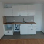 Rent 1 bedroom apartment of 44 m² in Reims