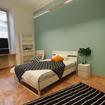 Rent a room in Torino