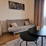 Rent 3 bedroom apartment of 67 m² in Częstochowa