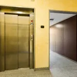 Rent 1 bedroom apartment in Milan