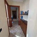 Rent 3 bedroom apartment of 60 m² in Spoleto