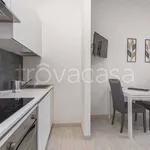 Rent 1 bedroom apartment of 45 m² in Torino