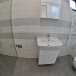 Rent 1 bedroom apartment in Brno