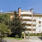 Rent 2 bedroom apartment of 50 m² in Busto Arsizio