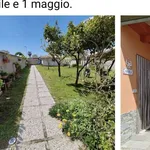 Rent 2 bedroom house of 55 m² in Nettuno