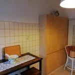 Rent 1 bedroom apartment of 80 m² in bologna