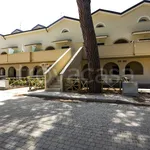 Rent 4 bedroom apartment of 75 m² in Grosseto