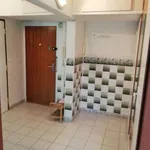 Rent 1 bedroom apartment of 45 m² in Brno