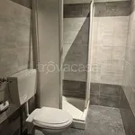 Rent 1 bedroom apartment of 35 m² in Torino