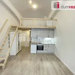 Rent 1 bedroom apartment of 42 m² in Praha