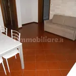 Rent 3 bedroom apartment of 90 m² in Cremona