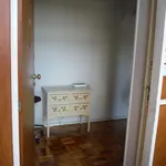 Rent 4 bedroom apartment in Porto