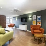 Rent 1 bedroom student apartment of 25 m² in Sheffield