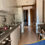 Rent 3 bedroom apartment of 90 m² in Roma