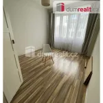 Rent 1 bedroom apartment in Praha 8