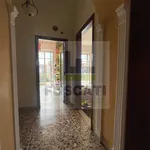 Rent 3 bedroom apartment of 87 m² in Mugnano di Napoli