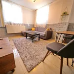 Rent 2 bedroom apartment of 45 m² in İstanbul