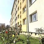 Rent 3 bedroom apartment of 59 m² in Döbeln