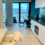 Rent 1 bedroom apartment of 60 m² in Frankfurt