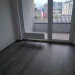 Rent 2 bedroom apartment in  Holešovice                        					