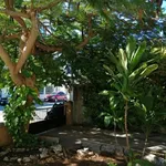 Rent 5 bedroom house in Mérida