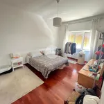 Rent 1 bedroom apartment of 110 m² in Rome