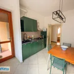 Rent 3 bedroom apartment of 81 m² in Turin