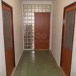 Rent 1 bedroom apartment in Ostrava