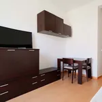 Rent 2 bedroom apartment of 45 m² in Madrid