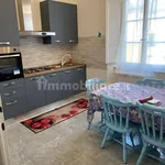 Rent 4 bedroom apartment of 120 m² in Pisa