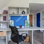 Rent 1 bedroom apartment in Exeter