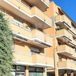 Appartamento in in affitto da privato a Gallarate via Francesco Baracca, arredato, box, da privato - TrovaCasa