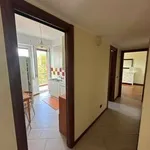 Rent 2 bedroom apartment of 70 m² in Milan