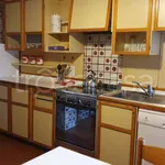 Rent 3 bedroom apartment of 100 m² in Padova