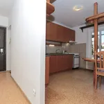 Pronajměte si 3 ložnic/e byt o rozloze 65 m² v litvinov