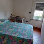 Rent 2 bedroom apartment of 50 m² in Napoli