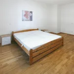 Pronajměte si 2 ložnic/e byt o rozloze 58 m² v Prague