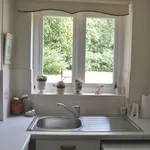 Rent 1 bedroom apartment in East Of England