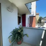 Rent 3 bedroom apartment in Milan