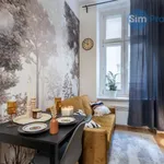 Rent 1 bedroom apartment of 24 m² in Brno