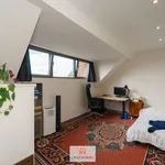 Rent 3 bedroom apartment in Gent