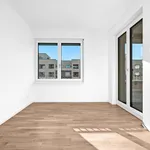 Rent 2 bedroom apartment of 50 m² in Berlin