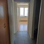  appartement avec 2 chambre(s) en location à Zottegem