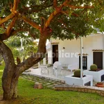 Rent 5 bedroom house of 238 m² in Ragusa