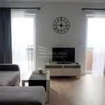 Rent 1 bedroom apartment of 30 m² in Bielsko-Biała