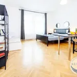 Rent 1 bedroom apartment of 33 m² in Praha