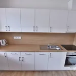 Rent 1 bedroom apartment in Uherské Hradiště