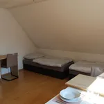 Rent 1 bedroom apartment of 144 m² in Brno