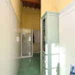 Affitto 2 camera appartamento di 60 m² in Pistoia